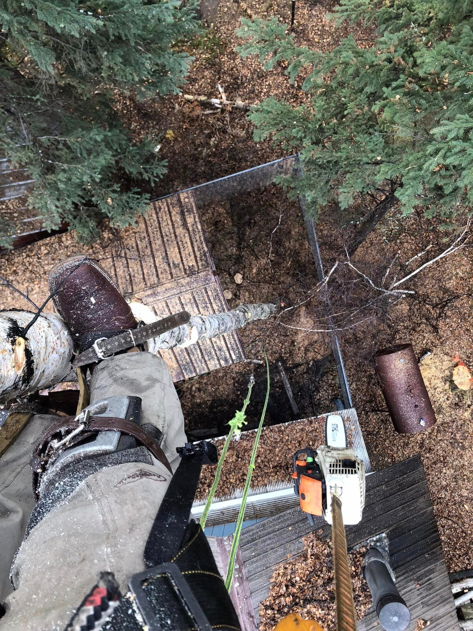Person on a tree-stand platform above a wooded ravine with gear and rope visible