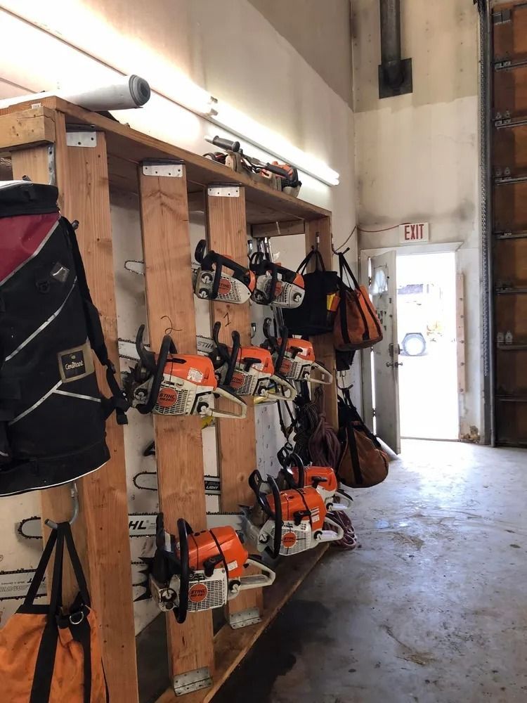 Wooden racks holding orange chainsaws in a workshop aisle near a bright open door