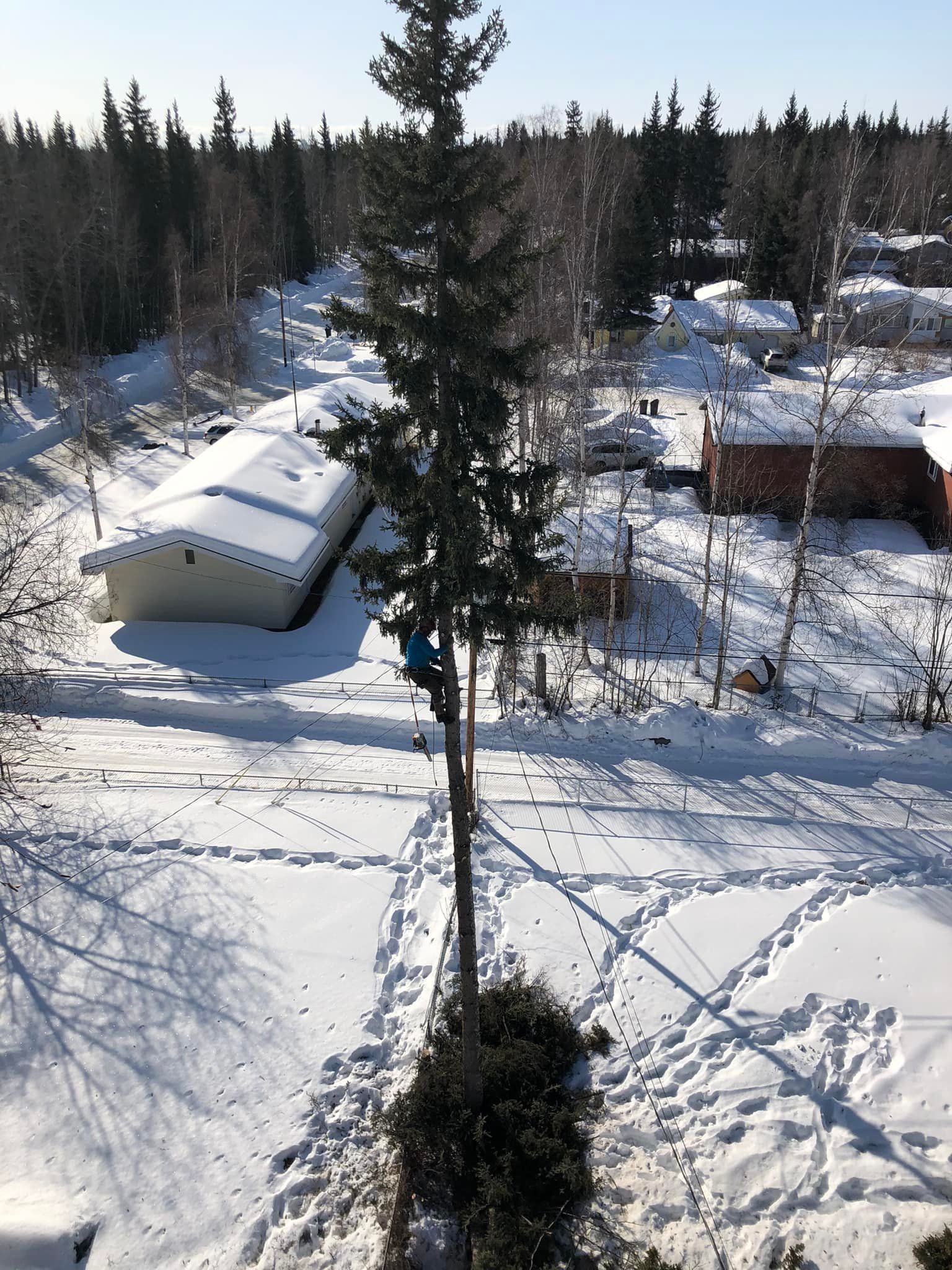 Snowy rural yard with cabins, pine trees, and footprints in deep snow