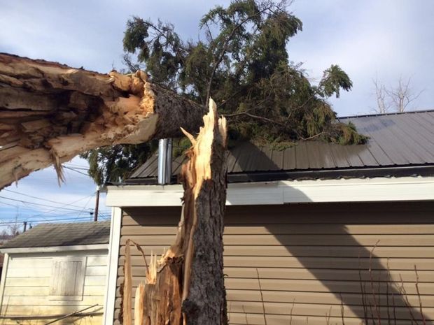 Broken tree trunk leaning against a house roof after storm damage