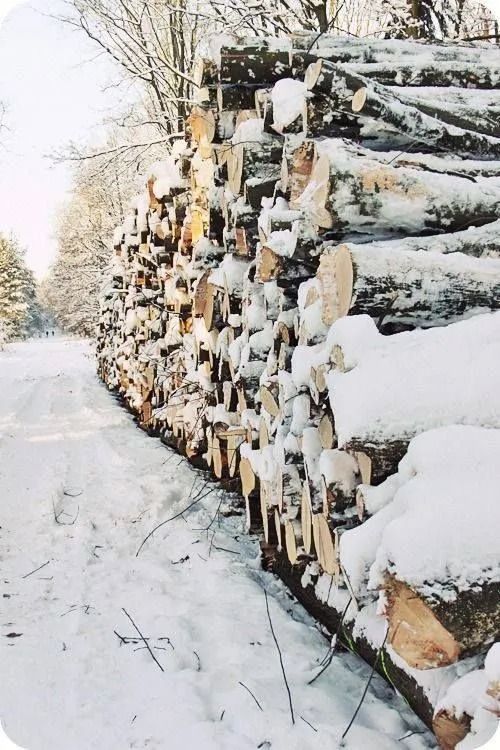 Snow-covered stacked logs beside a snowy path in a winter forest