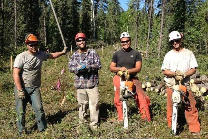 Four helmeted workers stand with chainsaws in a forest clearing, posing beside freshly cut trees.