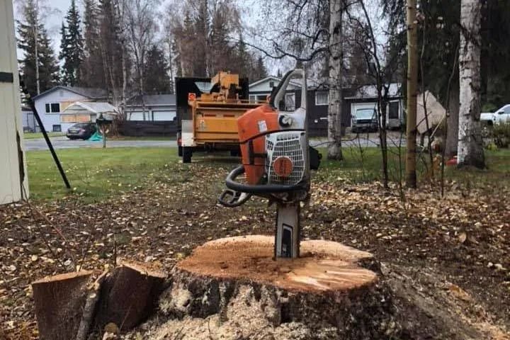 Chainsaw on a freshly cut tree stump in a yard, with a truck and houses in the background