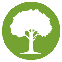 Great Alaska Tree Company