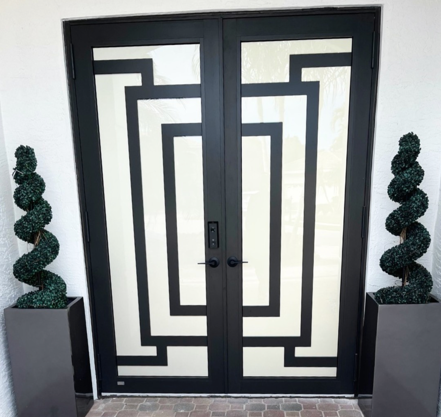 A black and white door with two potted plants in front of it.