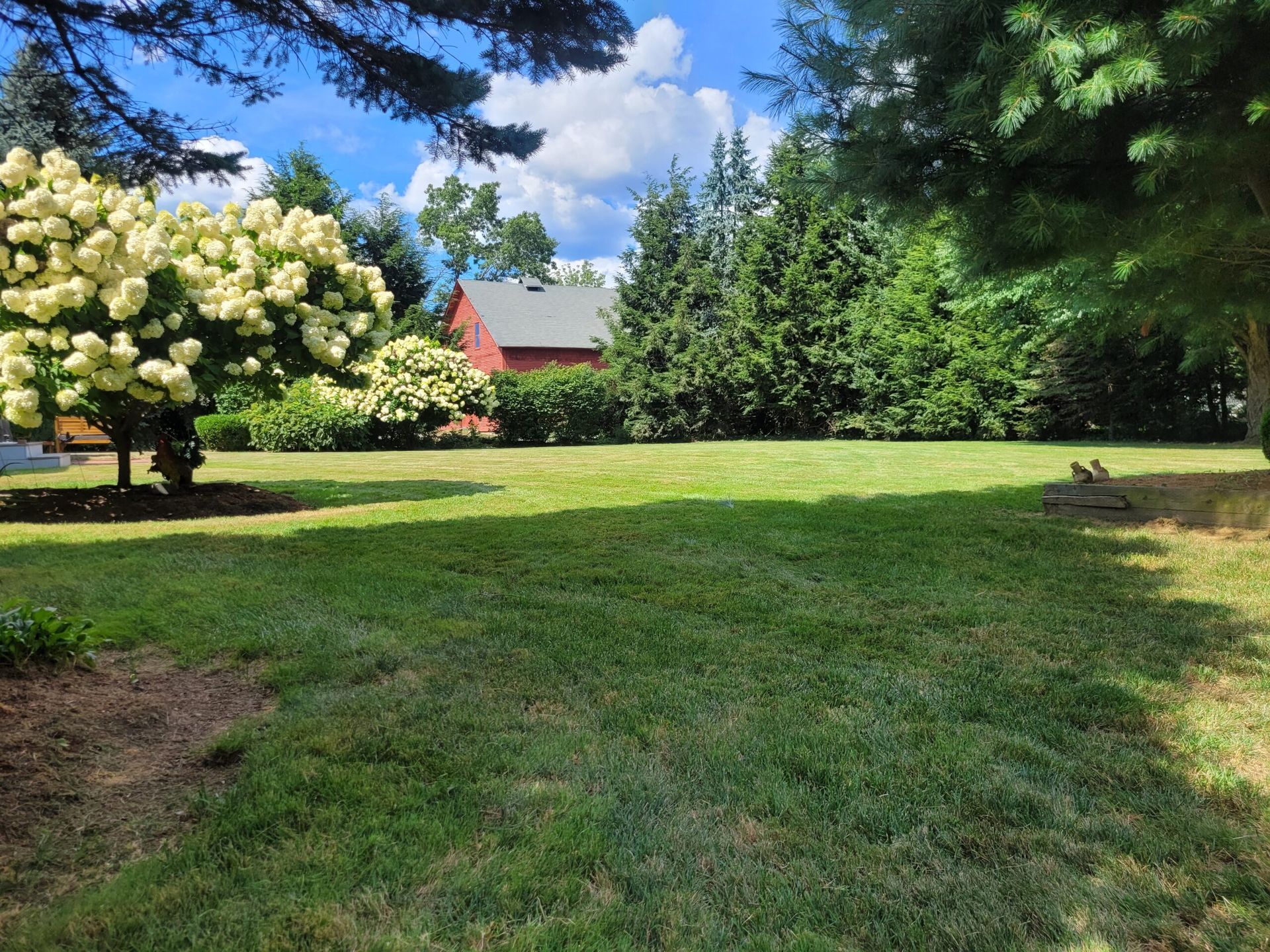 A large lush green field with trees and a house in the background.