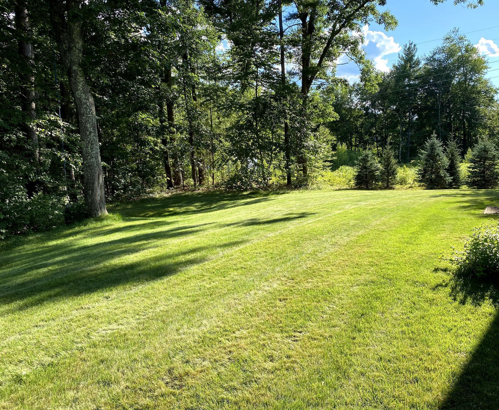 A large lush green field surrounded by trees on a sunny day.