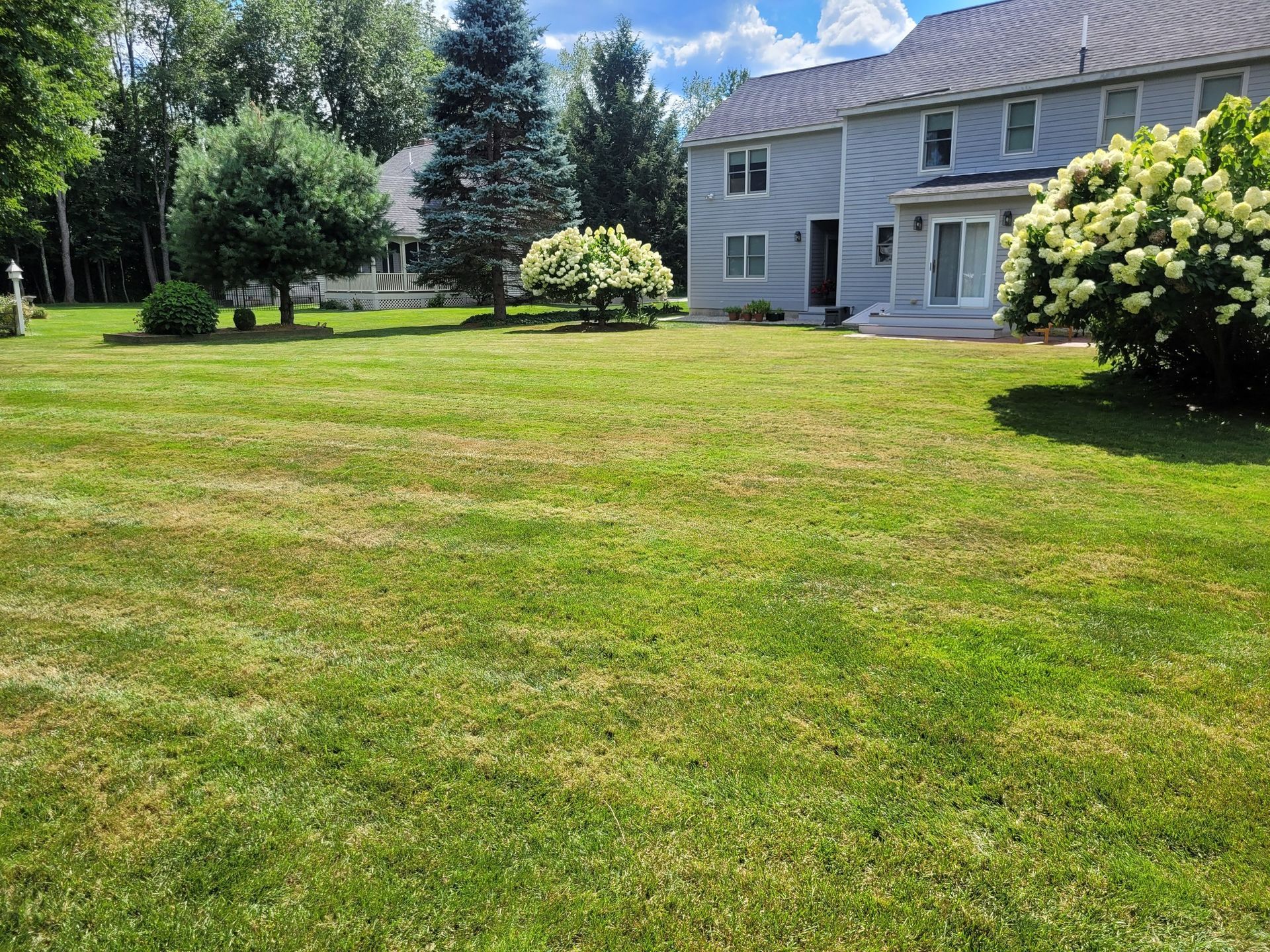 A large lush green lawn in front of a house.