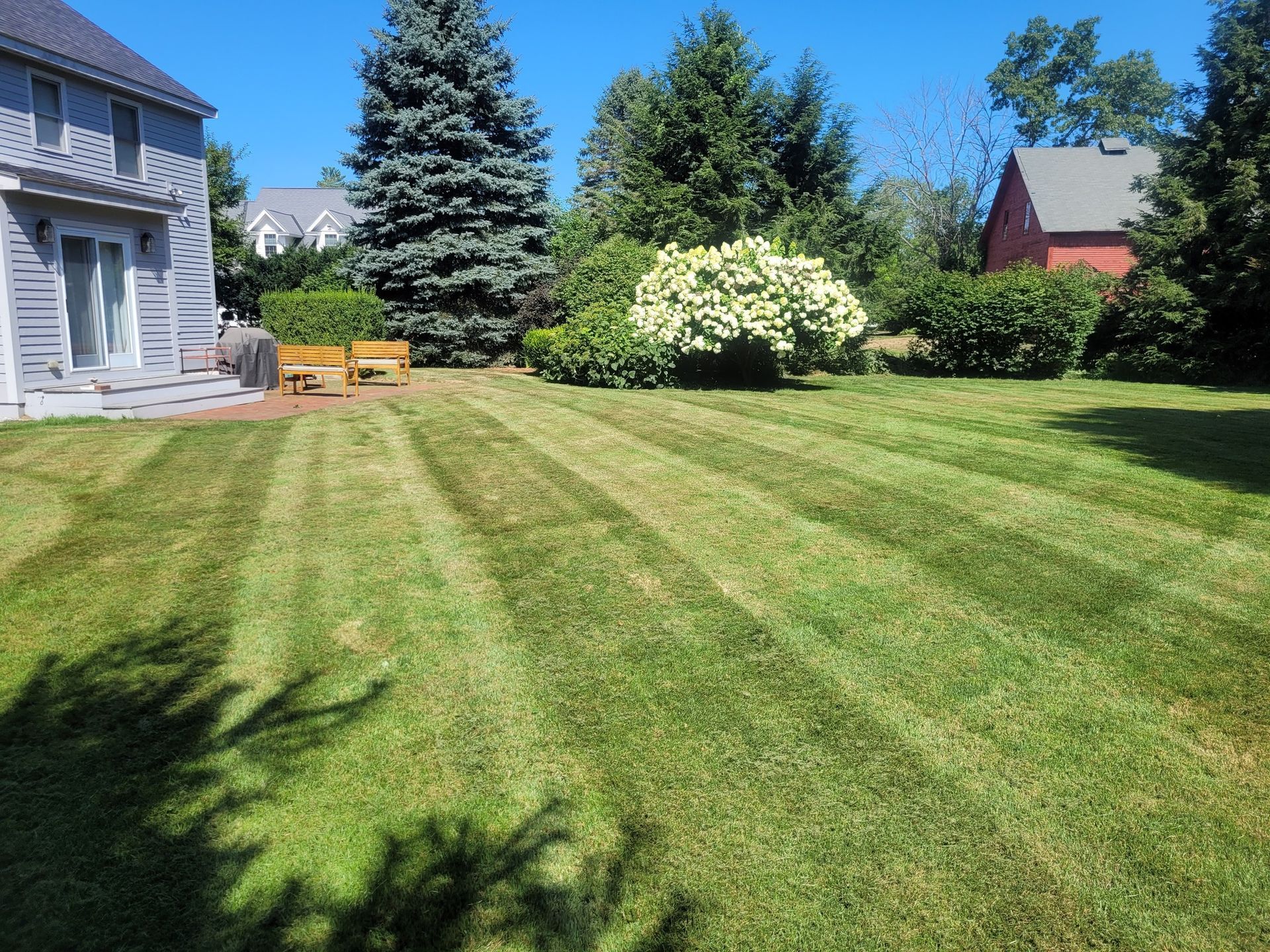 A lush green lawn with a house in the background