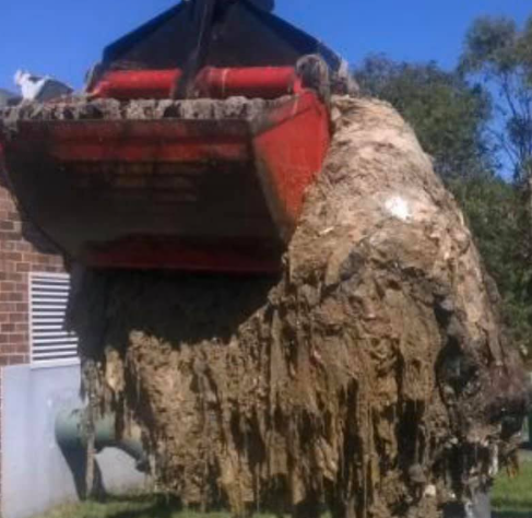 A backhoe bucket filled with thick, brown, stringy debris, likely from a sewer.