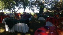 Tables with white and colorful tablecloths set up outdoors for an event, under trees.