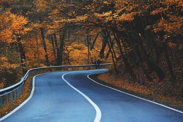 Winding road through autumn forest with orange leaves and a blue guardrail