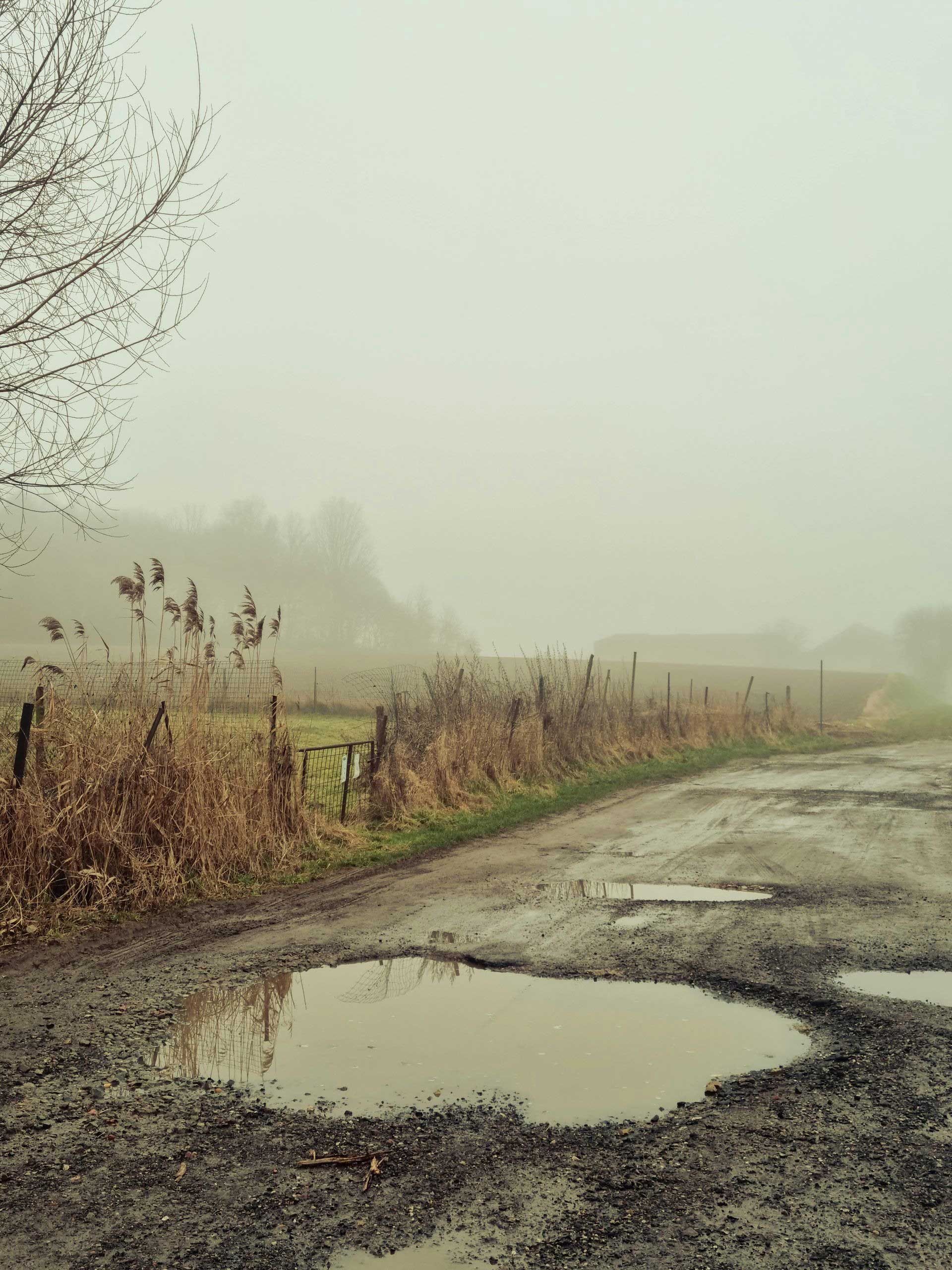 Foggy rural dirt road with puddles, dry grass, and bare trees in a misty landscape