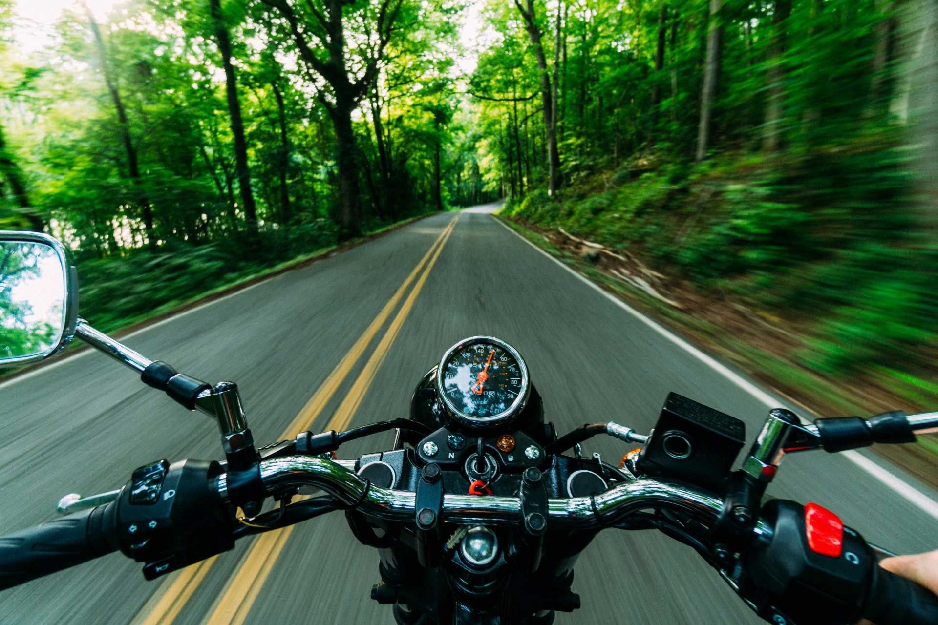 Motorcycle rider on a winding road through a green forest, seen from the handlebars.