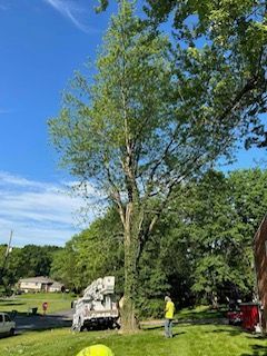 A large tree is being cut down by a crane in a yard.