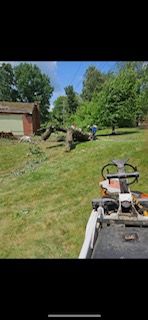 A tractor is cutting a tree in a yard.