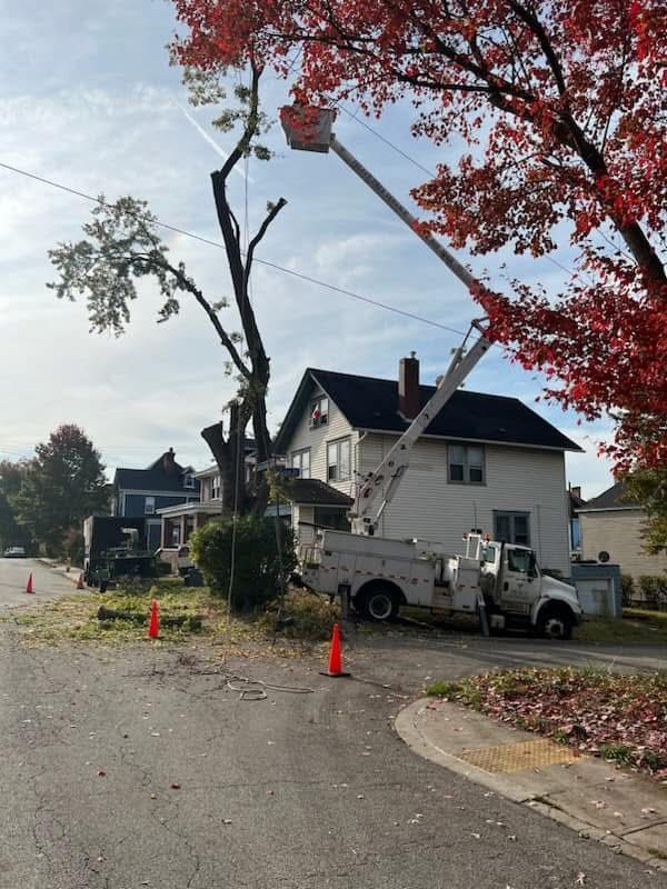 A white truck with a crane on the back is cutting a tree