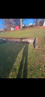 A shadow of a person is cast on a lush green field.