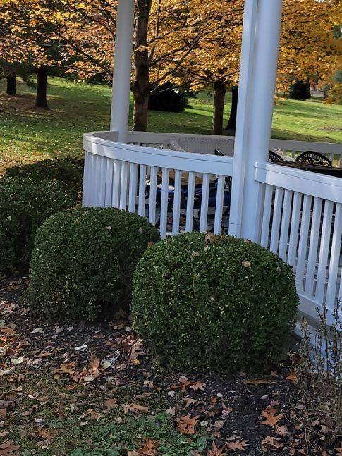 White porch railing with round green shrubs and autumn leaves in a park setting