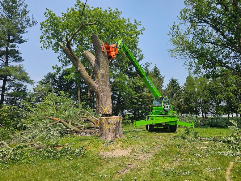 Triangle Tree Care LLC