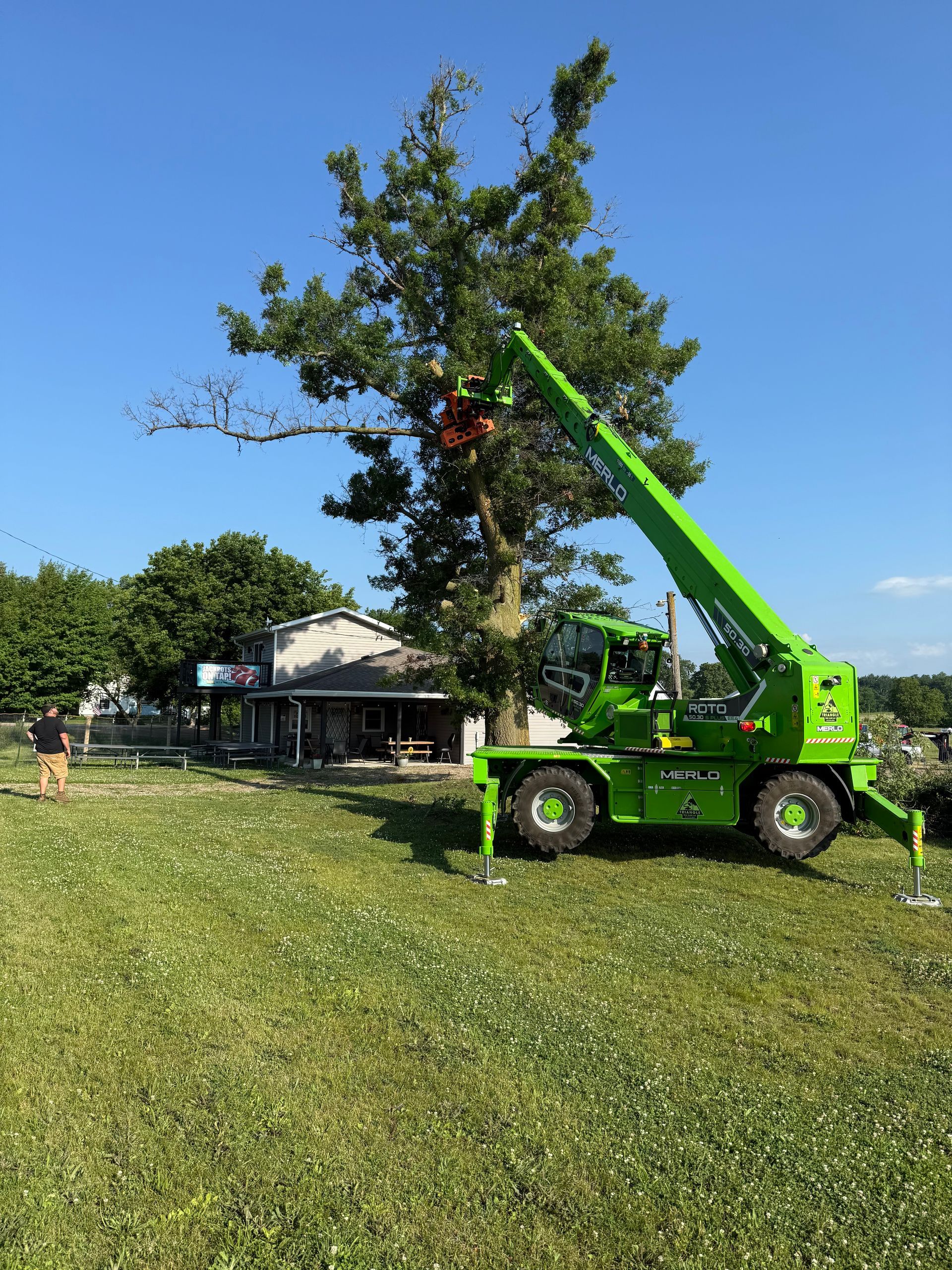 A green crane is cutting a tree in a grassy field.