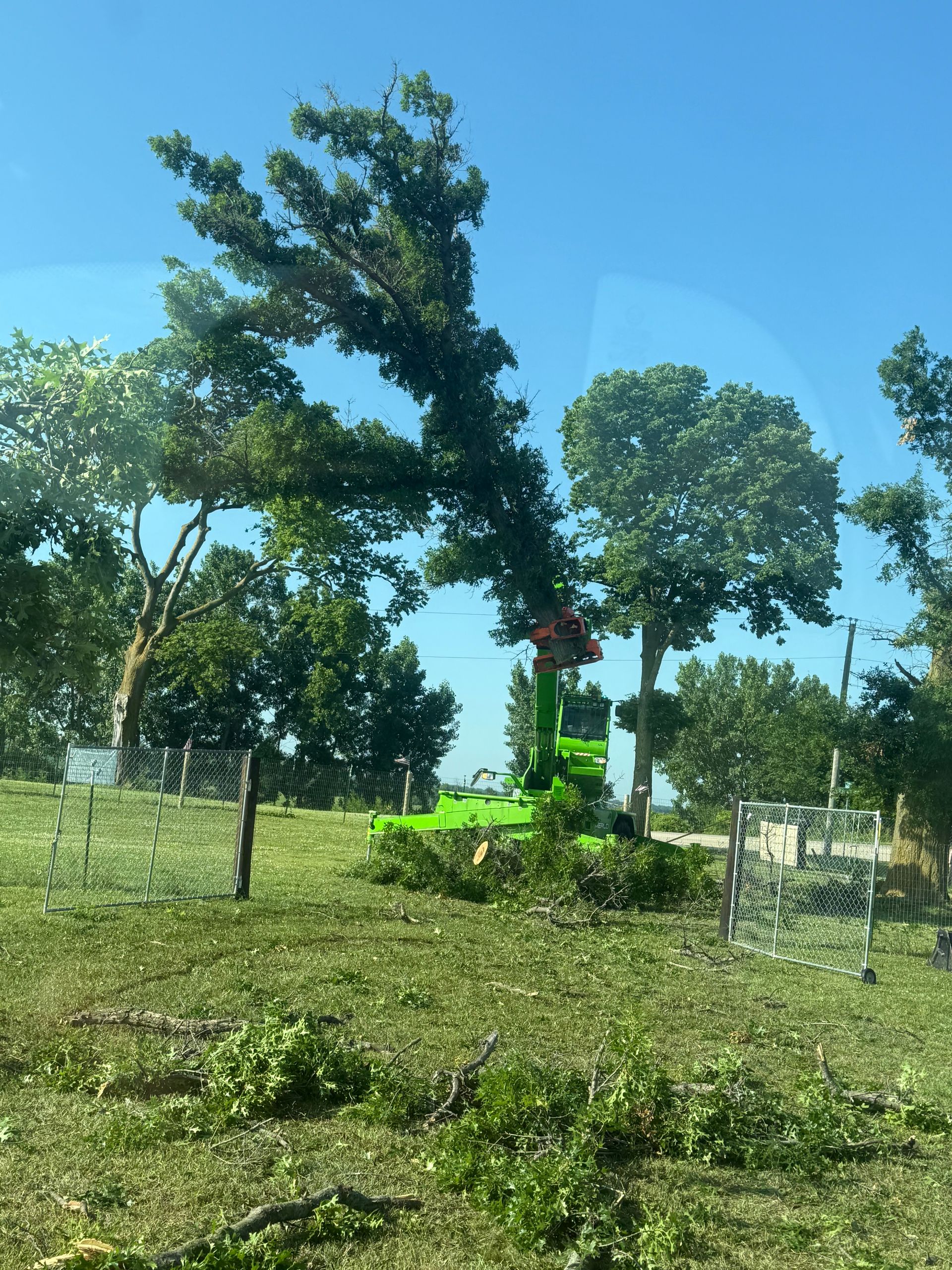 A green machine is cutting down trees in a field