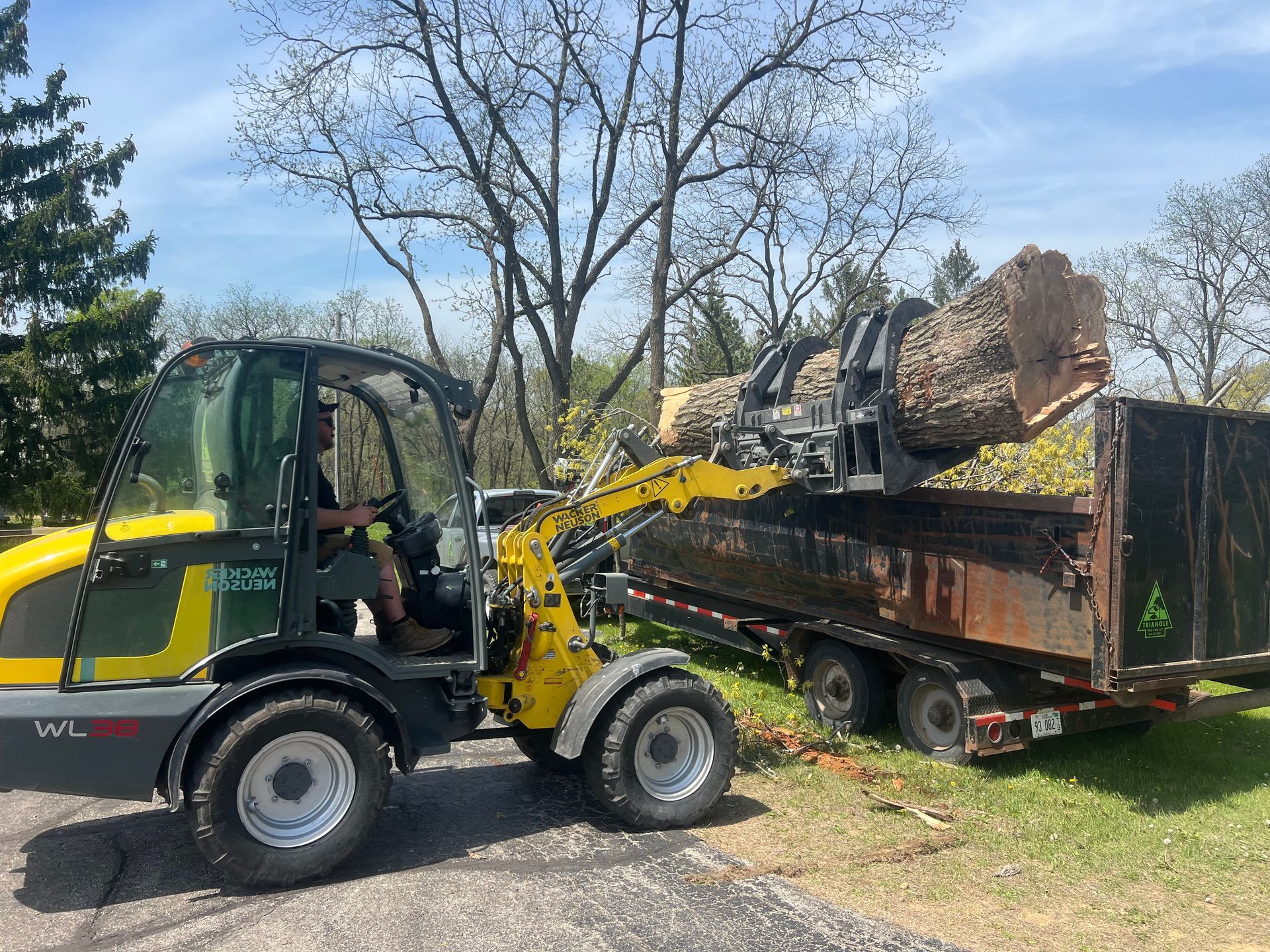 A yellow tractor is loading a large tree into a dumpster.
