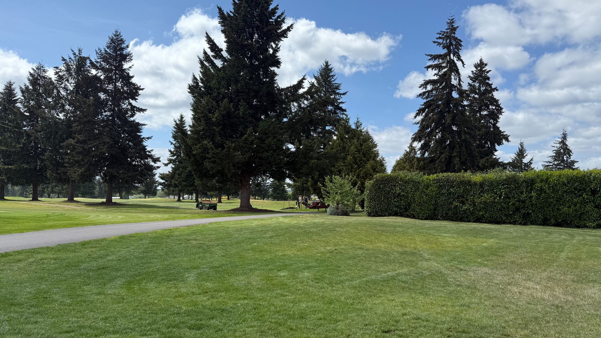 A park with trees and a path going through it