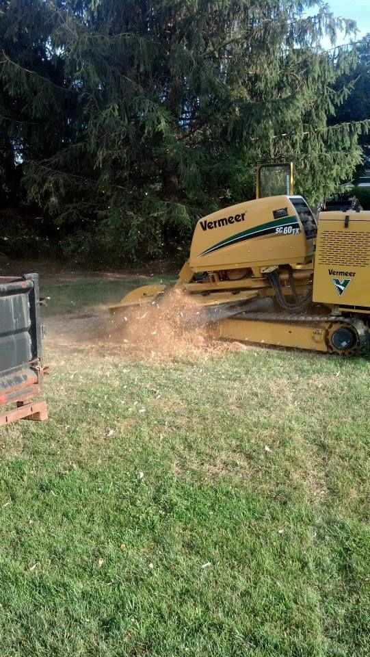 A yellow tractor is cutting down a tree in a yard.