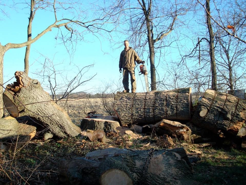 A man standing on top of a large log in the woods