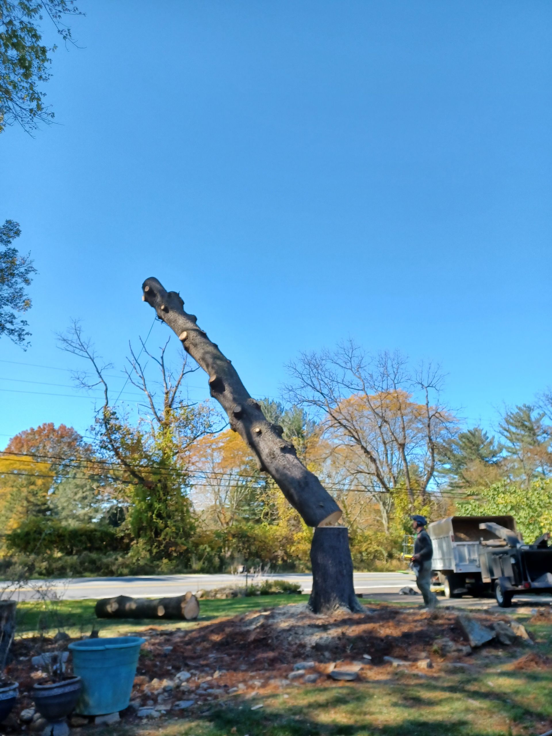A large tree stump is being removed from a yard.