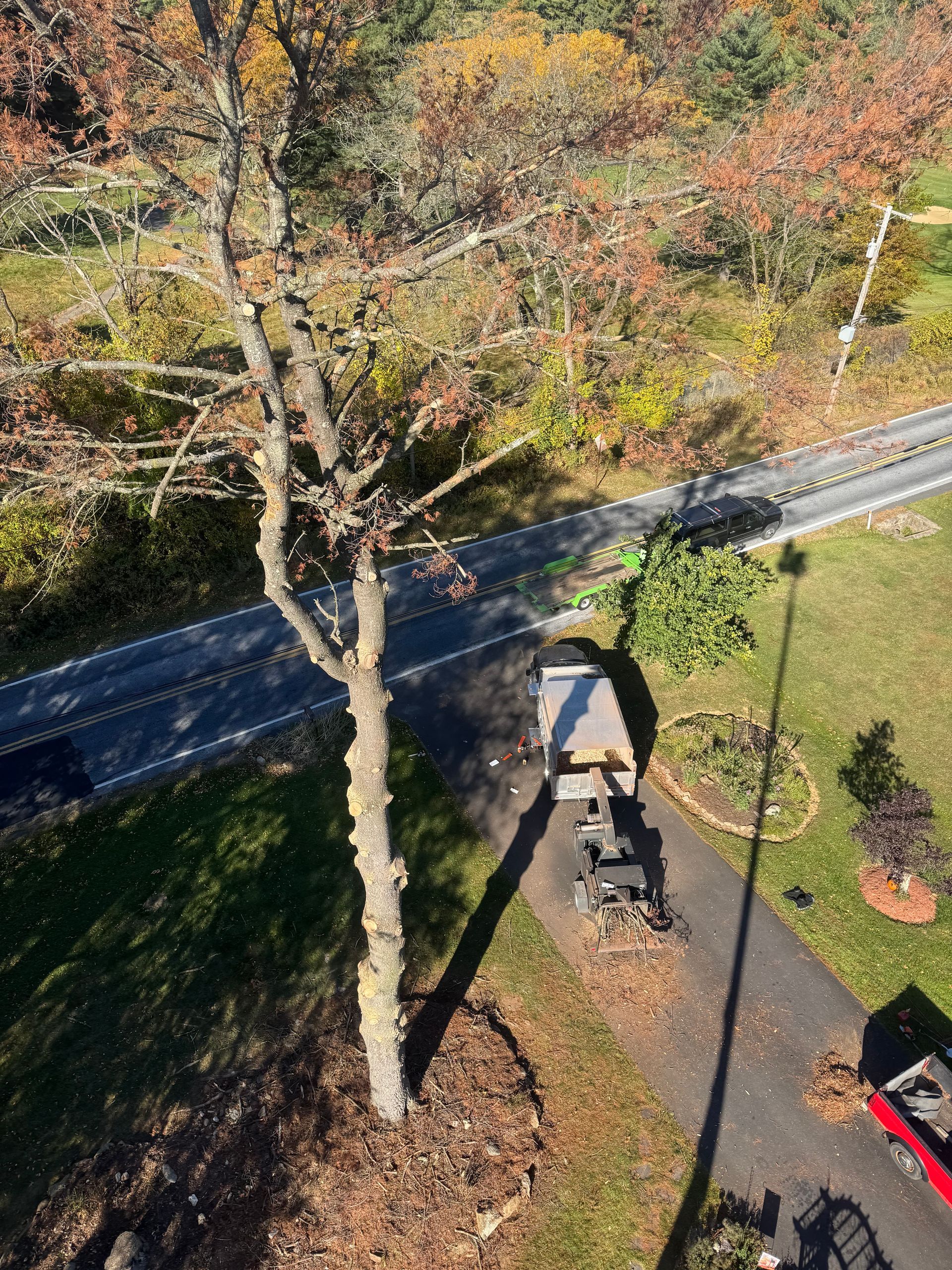 An aerial view of a tree being cut down next to a road.