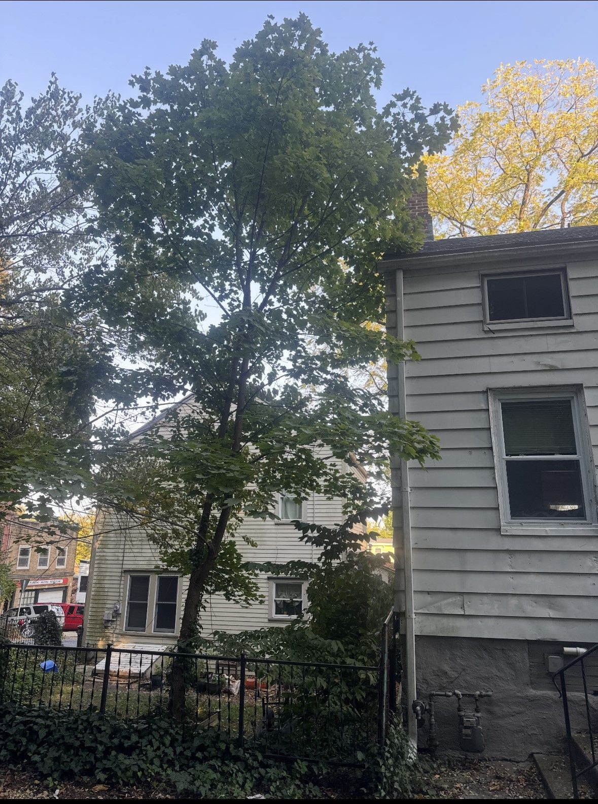 A white house with a tree in front of it