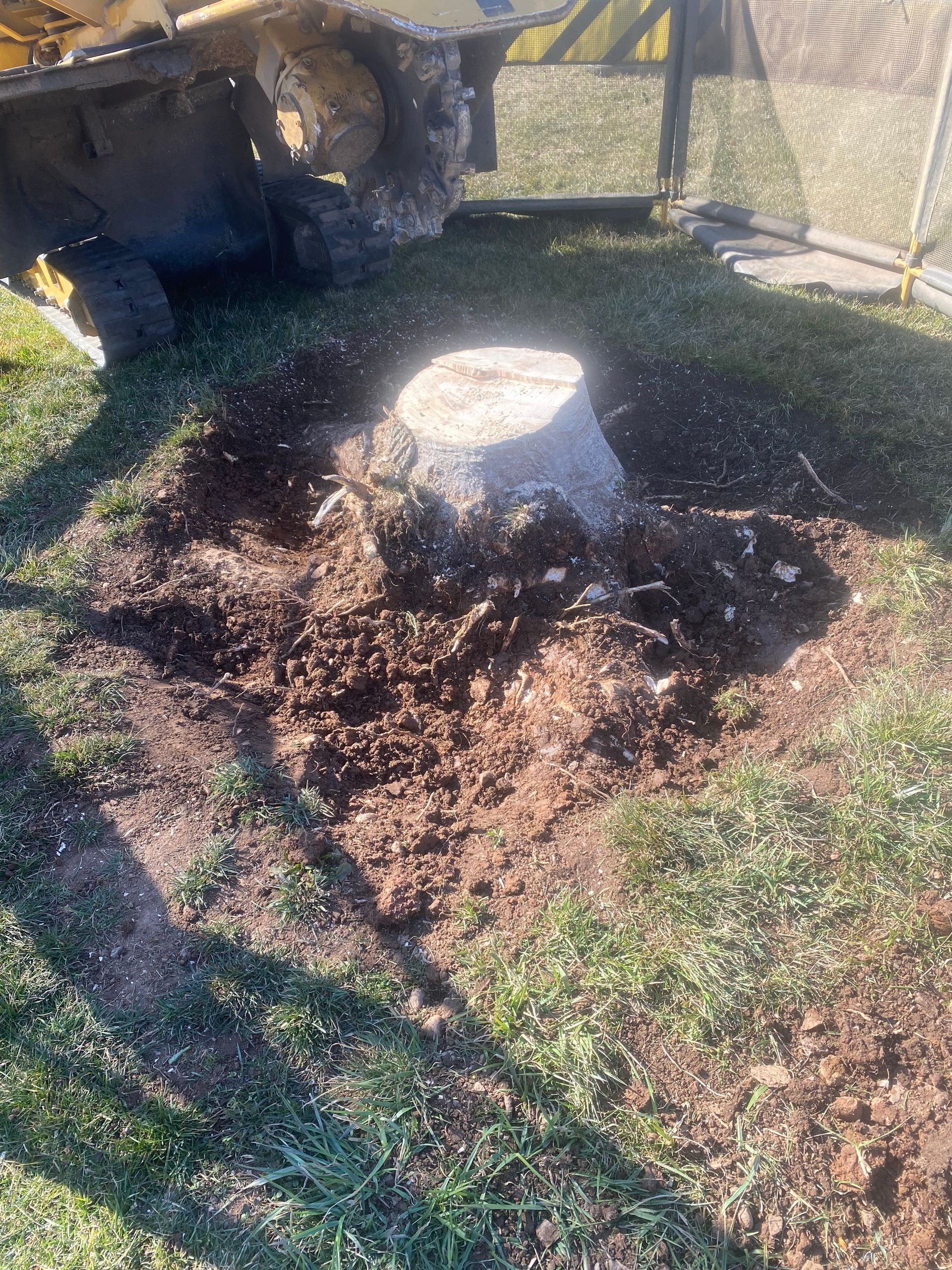 A tree stump is being removed by a machine in a yard.
