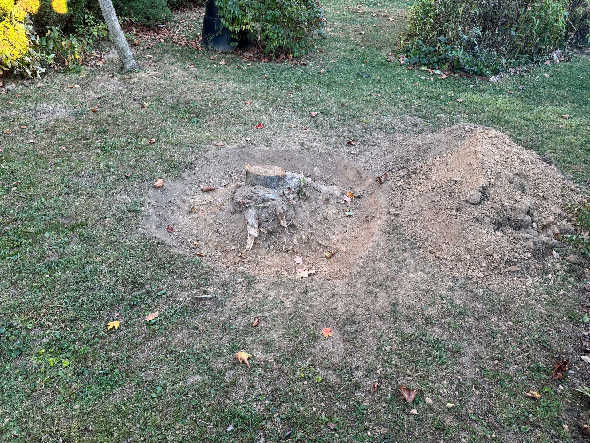 A tree stump is sitting in the middle of a lush green field.