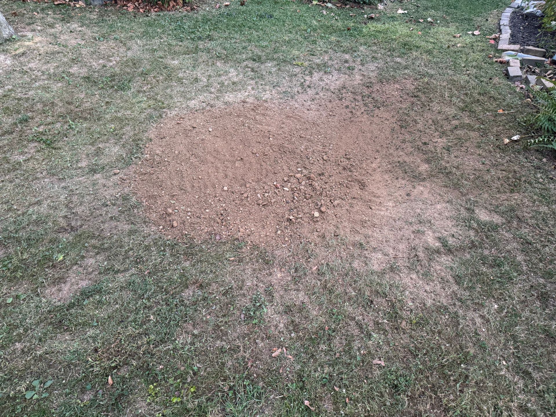A large pile of dirt is sitting on top of a lush green lawn.