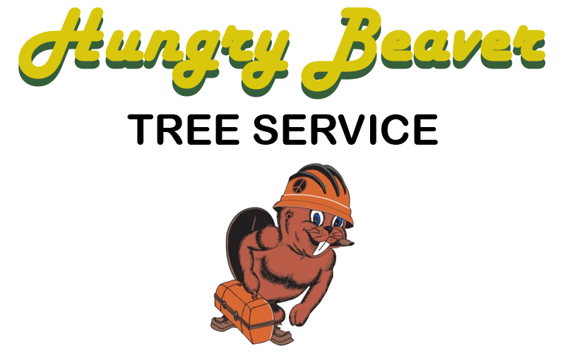 Hungry Beaver Tree Service Logo