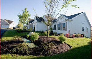 Well maintained front yard lawn / lawn care | Dedham, MA  | San Marino Landscaping & Construction Group | 781-329-5433