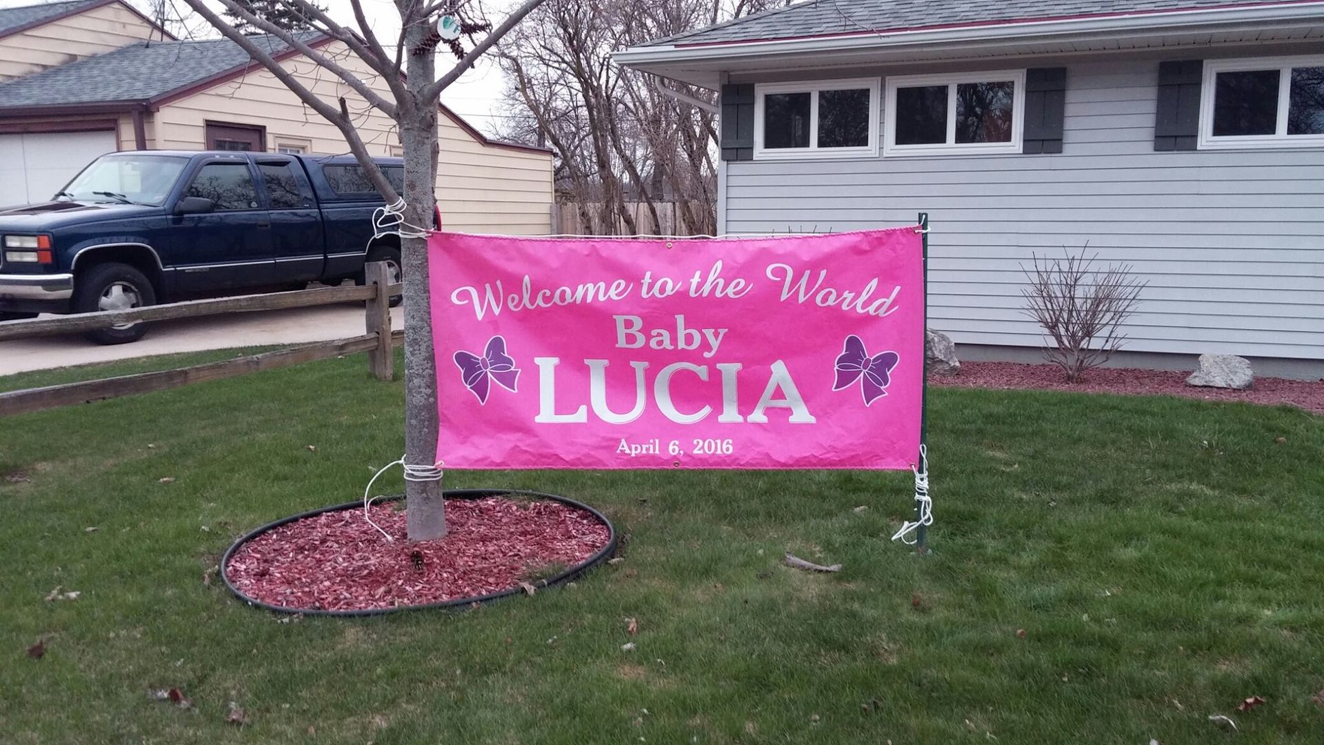 Pink banner, Welcome to the World Baby LUCIA with butterflies, displayed on a tree in the front yard, light blue house, and truck.