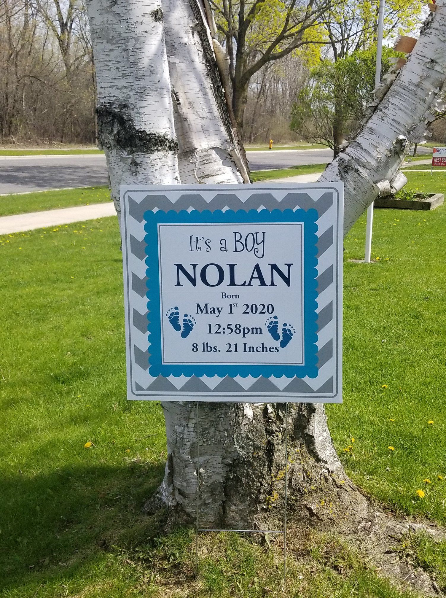 Sign on tree, It's a Boy announcement for Nolan, born May 1, 2020. Blue, gray, and white colors.