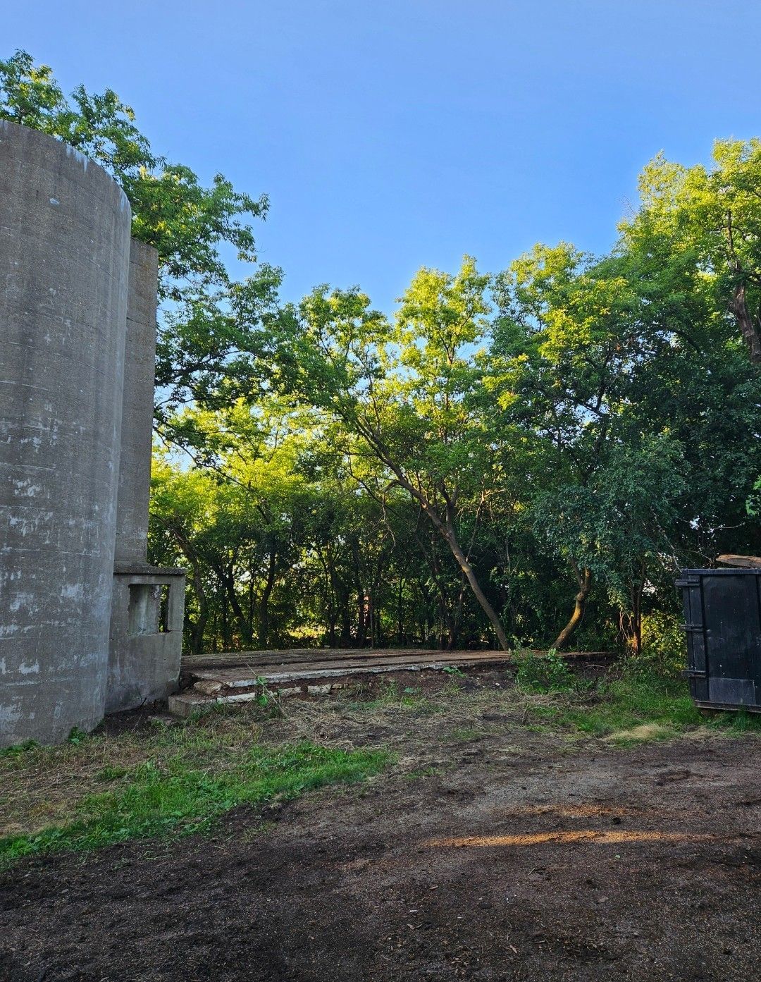 Concrete structure beside a forest, under a clear blue sky.