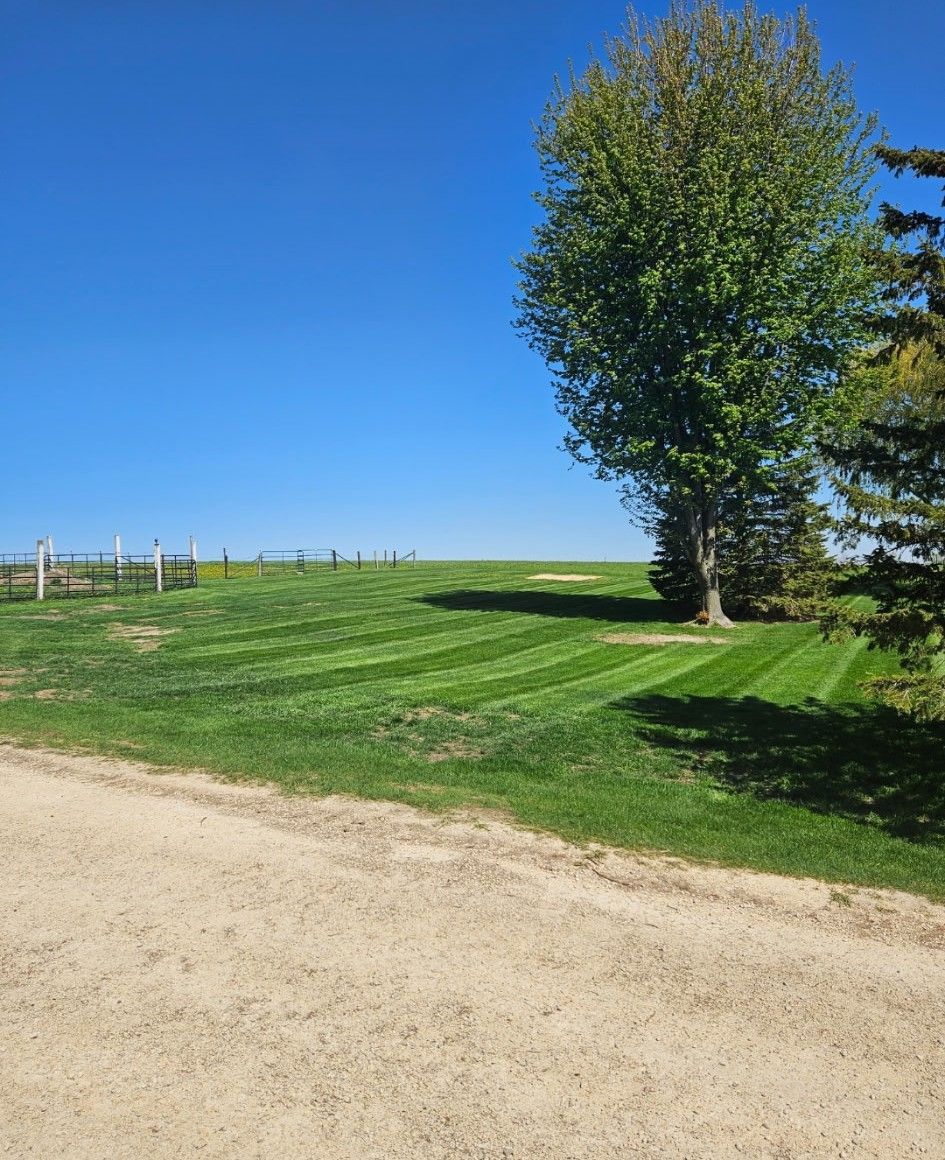 A gravel road borders a lush green field with striped mowing patterns, leading toward a large tree under a clear blue sky.