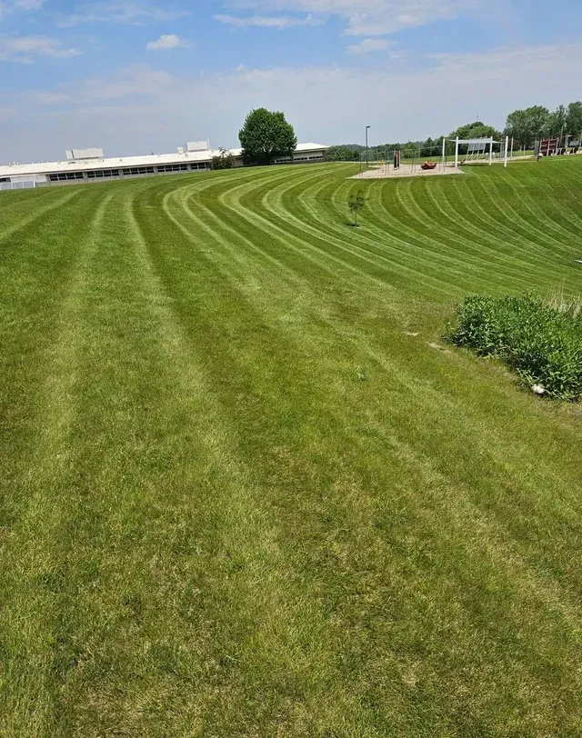 Green grass cut in curved patterns under a blue sky, building and trees in the background.