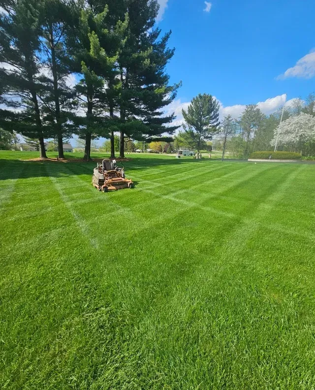 Lawn mower cutting a bright green lawn, creating striped patterns. Tall trees and blue sky in background.