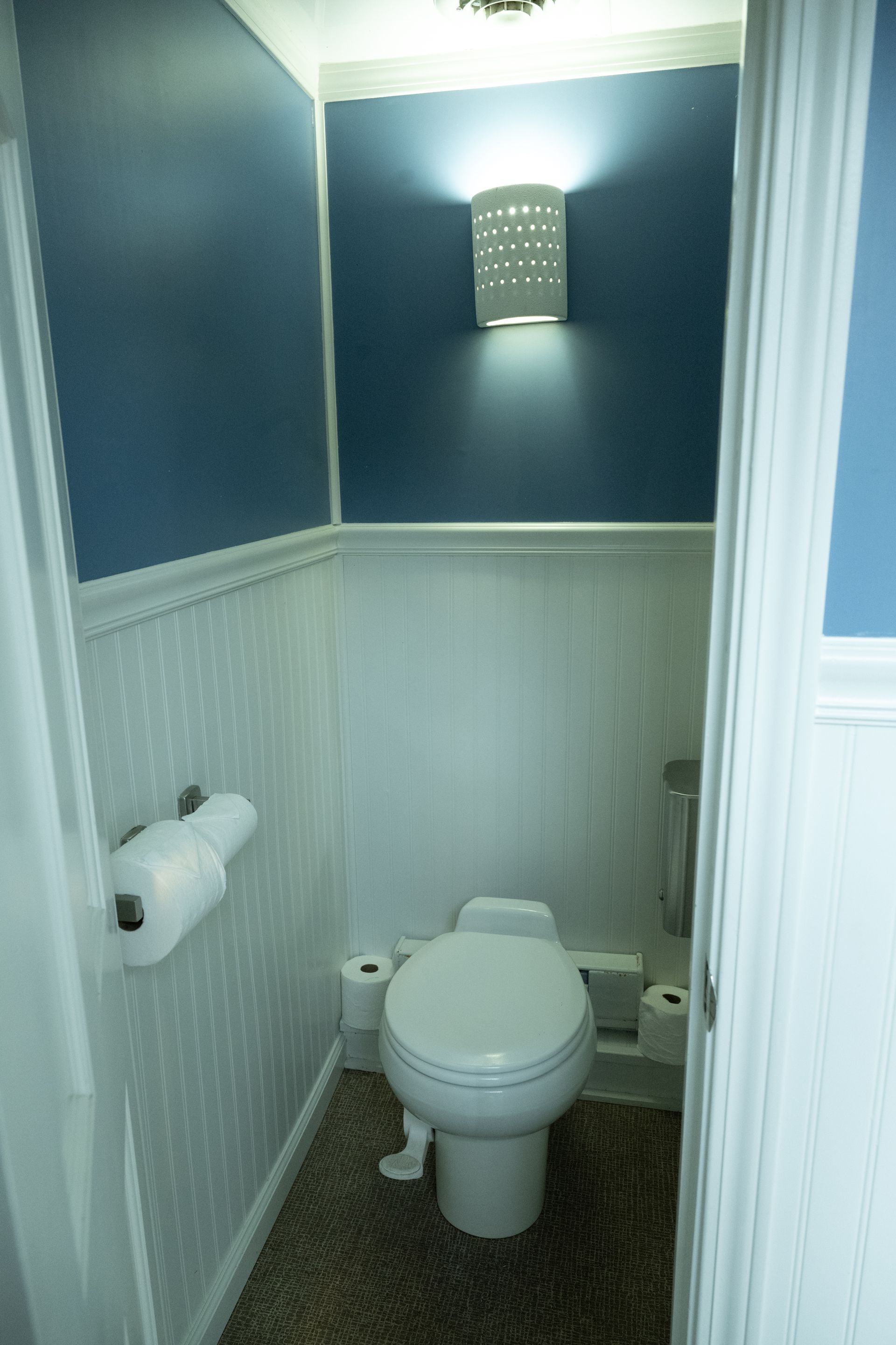 Small blue and white bathroom with a toilet and patterned walls.