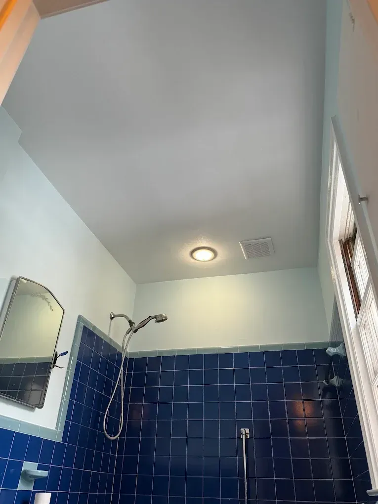 Small bathroom with navy tile shower, wall mirror, and ceiling light above.