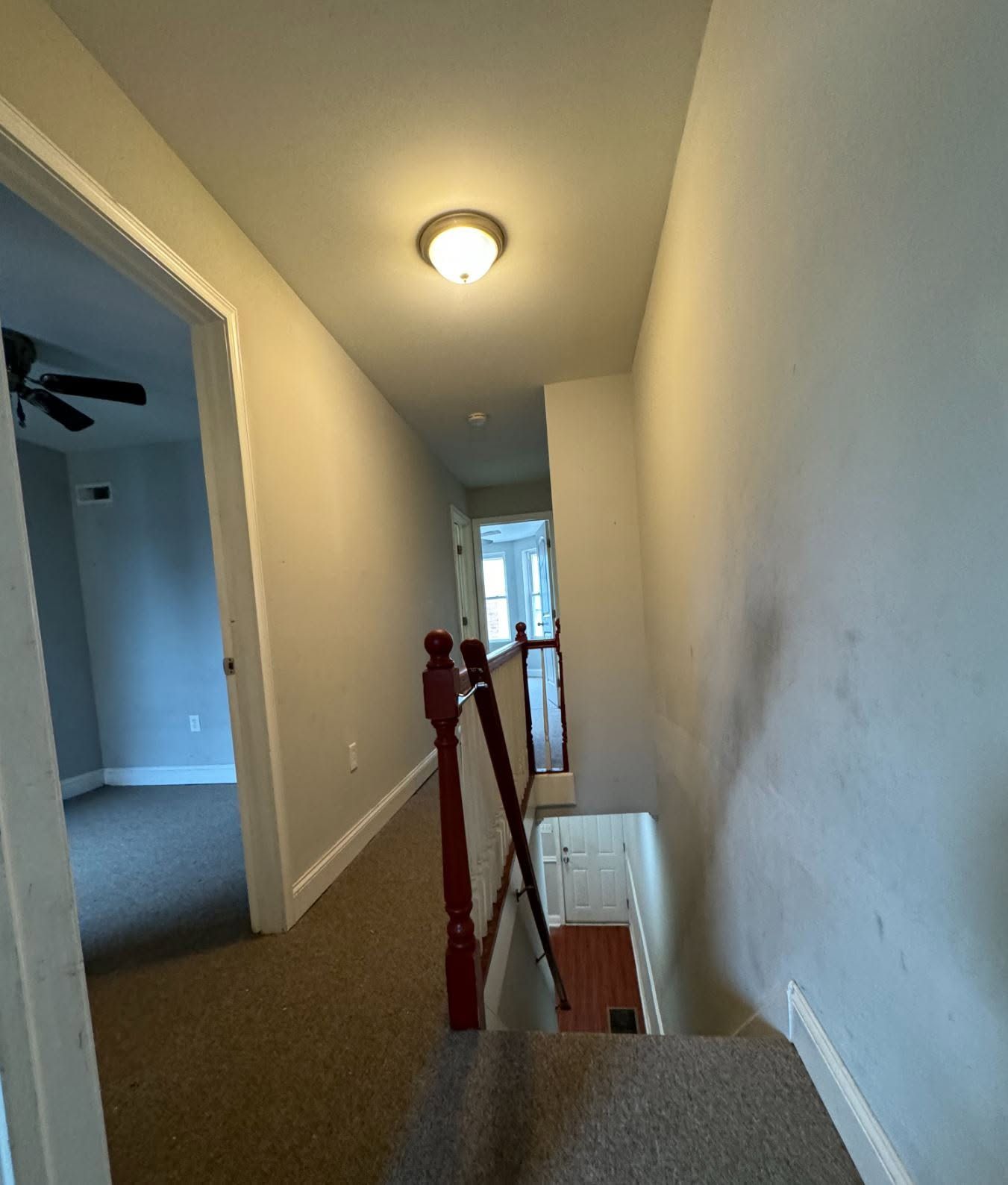 Narrow hallway with carpet, ceiling light, stair opening, and red ladder rails near the landing