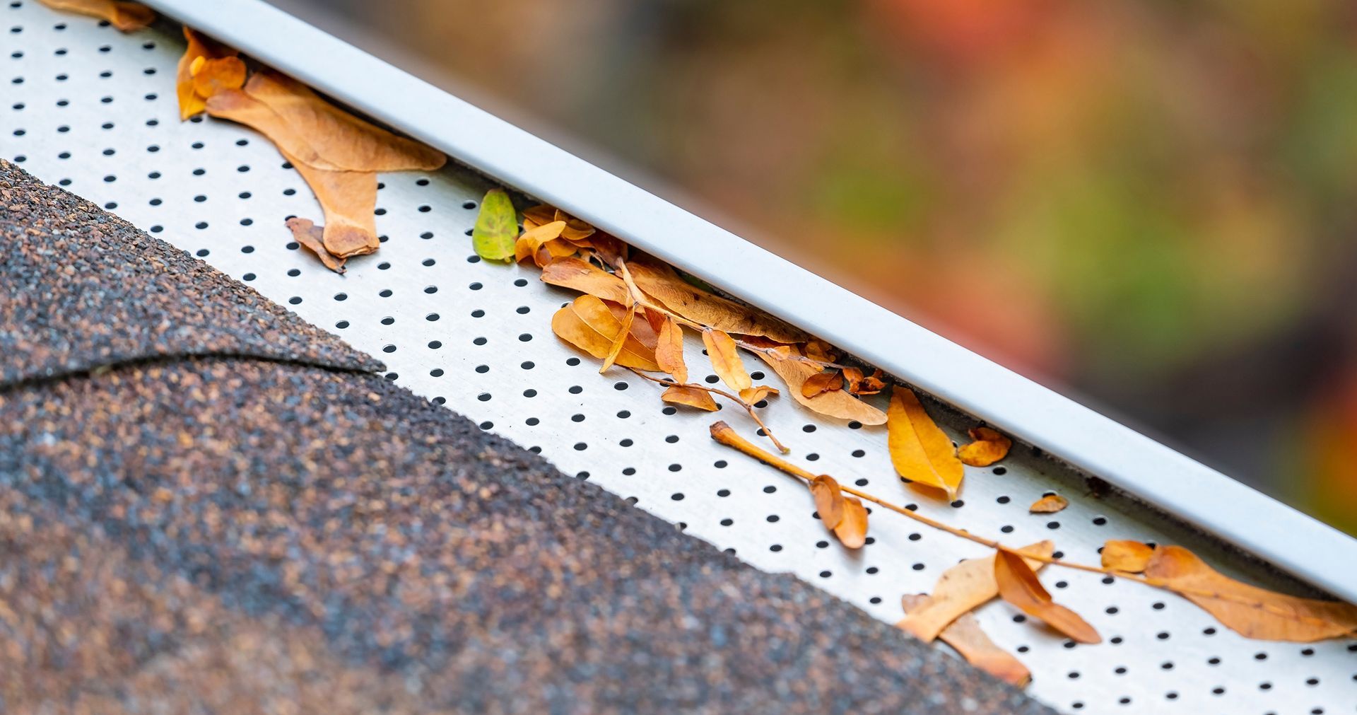 Gutter guard