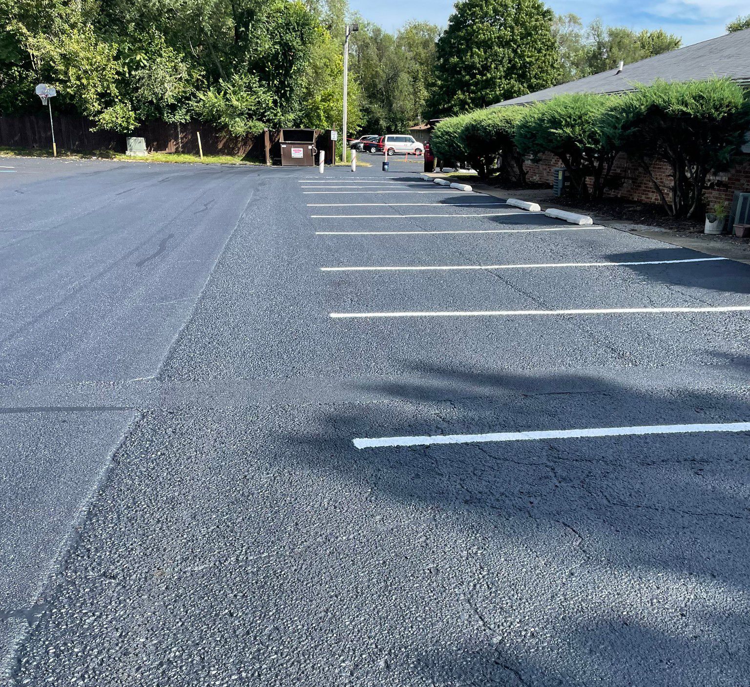 A row of parking spaces in a parking lot with trees in the background.