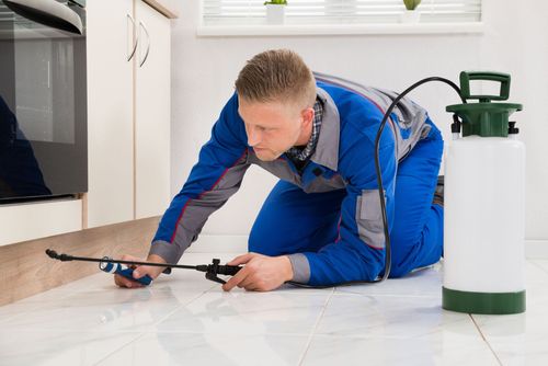 Mug-A-Bug Pest & Termite Control